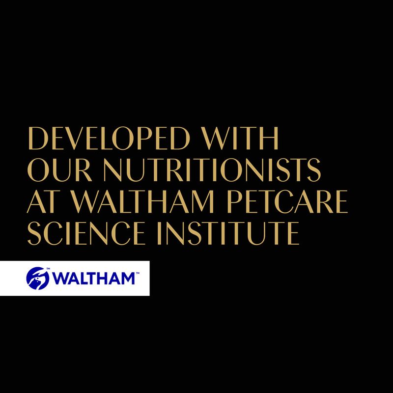 Sheba Varieties Multipack Saver Pack 32 x 85g Poultry Collection Select Slices in Gravy