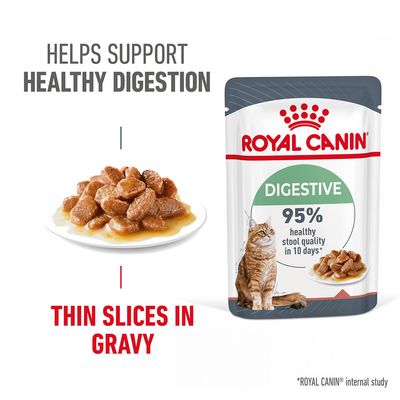 Royal Canin Digestive Care in Gravy 12 x 85g