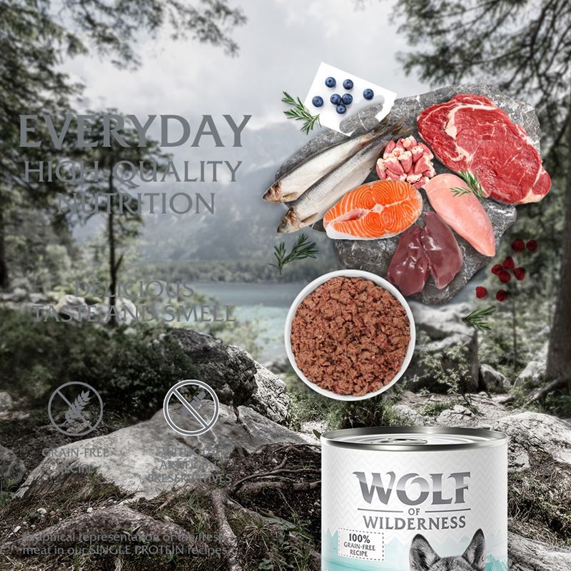 Wolf of Wilderness Adult Single Protein 6 x 400g Mixed Pack 1 (3 Varieties)