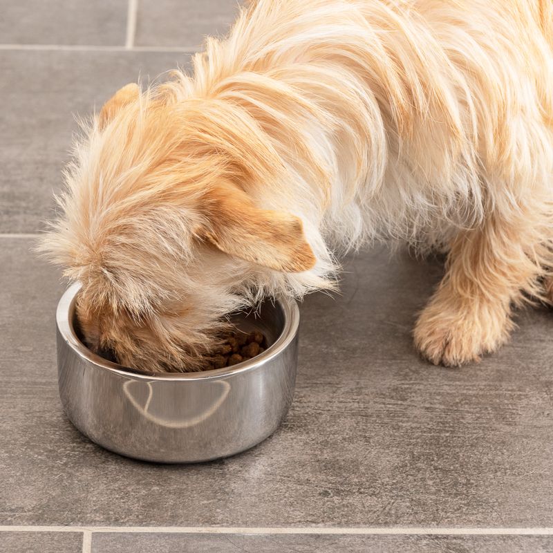 Modern Living Double-walled premium bowl Bayi 400 ml, diameter 13 cm