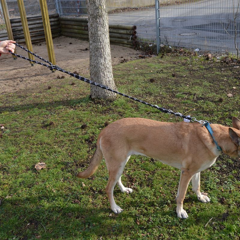 JULIUS-K9 IDC® Rope Lead Black: 120cm Length, diameter 10mm