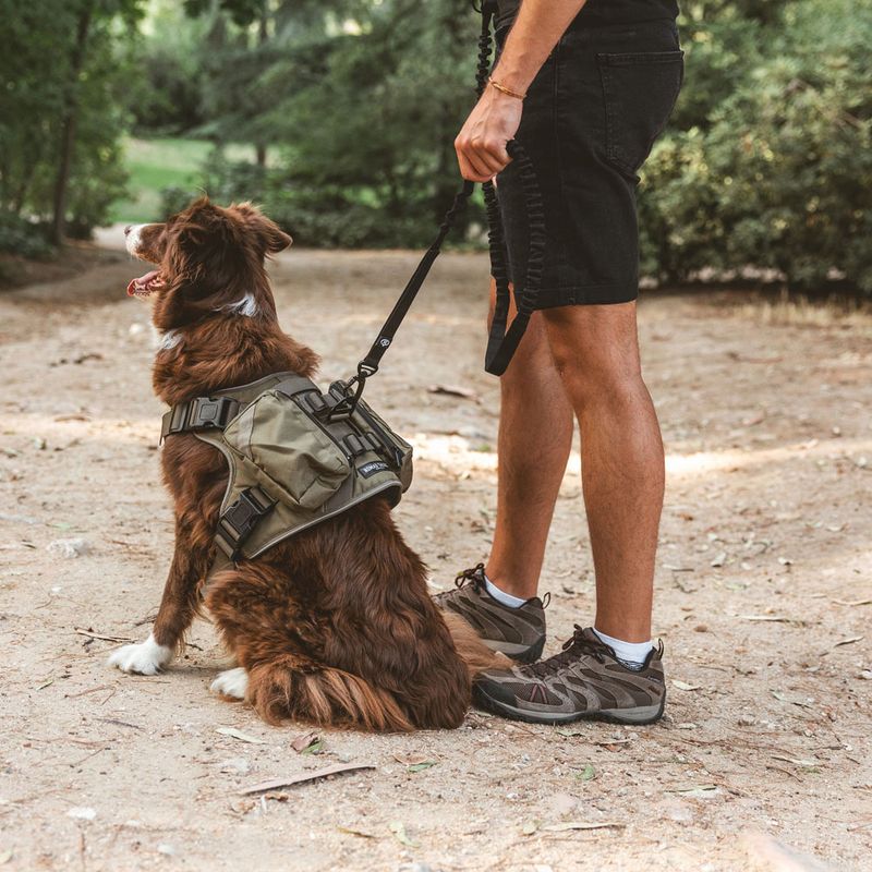 Nomad Tales Tactical dog harness M: approx. 76-91 cm chest circumference