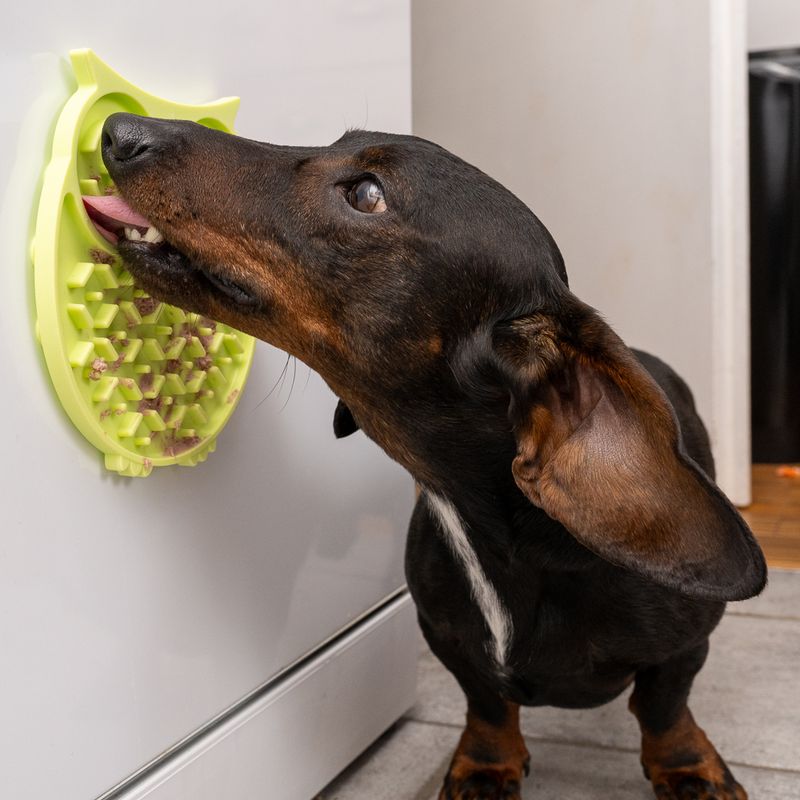 TIAKI Owl Lick Mat 15 x 1.2cm (Diameter x H)