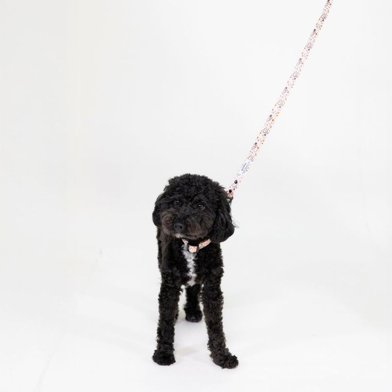 Harry Potter Deathly Hallows Collar - Beige Size S: Neck Circumference 25 - 36 cm, Width 20mm