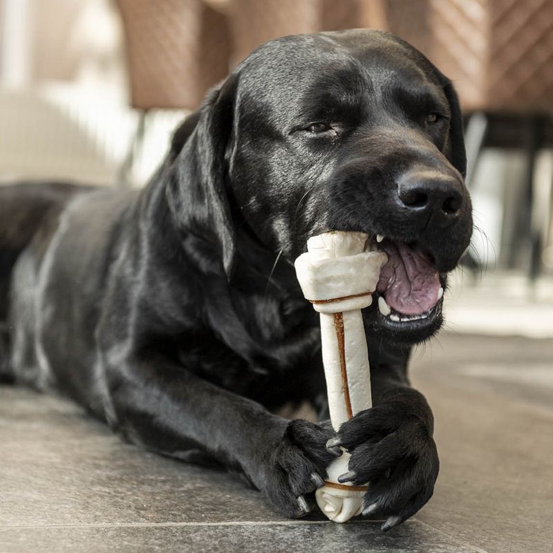 8in1 Pro Dental Chew Bones - Chicken XS (21 Bones)