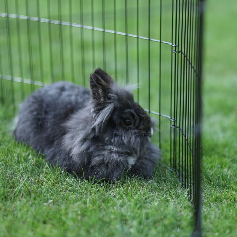 Kerbl Pet Enclosure with Door for Puppies and Small Animals 8 Elements, 57 x 78cm (W x H)