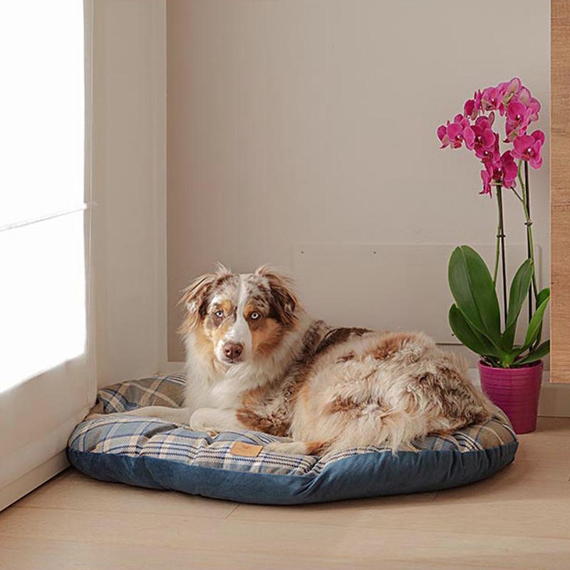 Ferplast cushion Scott, blue L 55 x W x H 36 x 8 cm