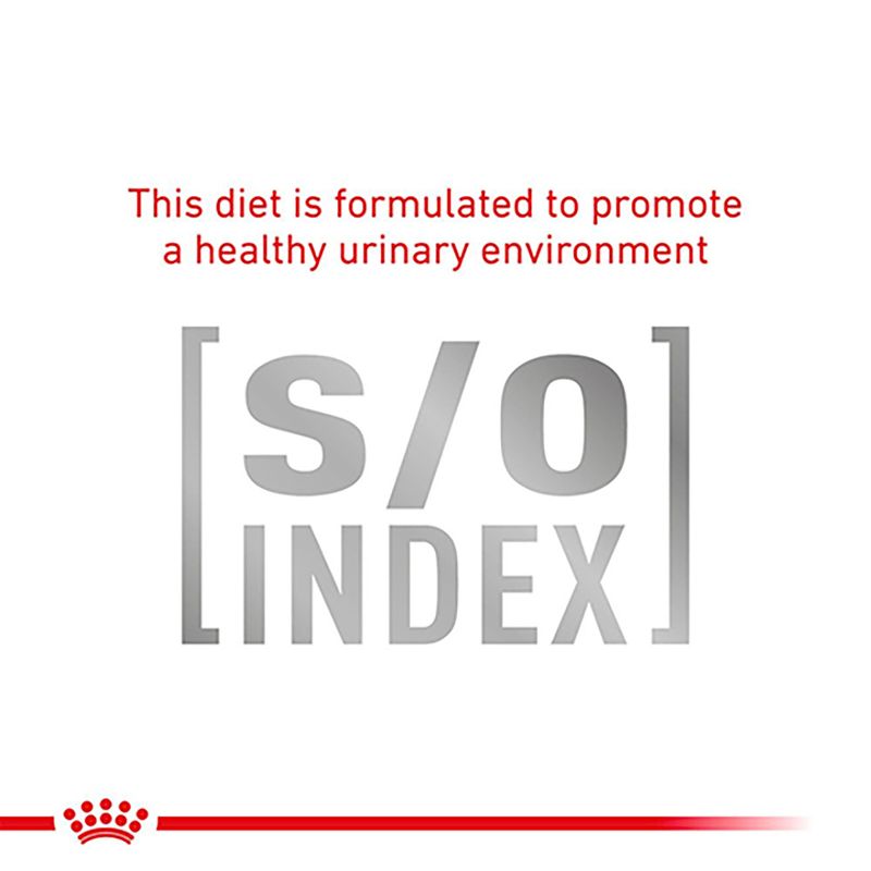 Royal Canin Veterinary - Diabetic DS 46 1.5kg