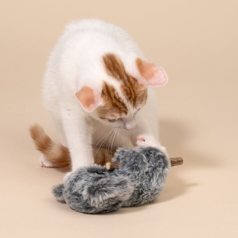 TIAKI Koala with Silvervine Stick Cat Toy 1 Toy