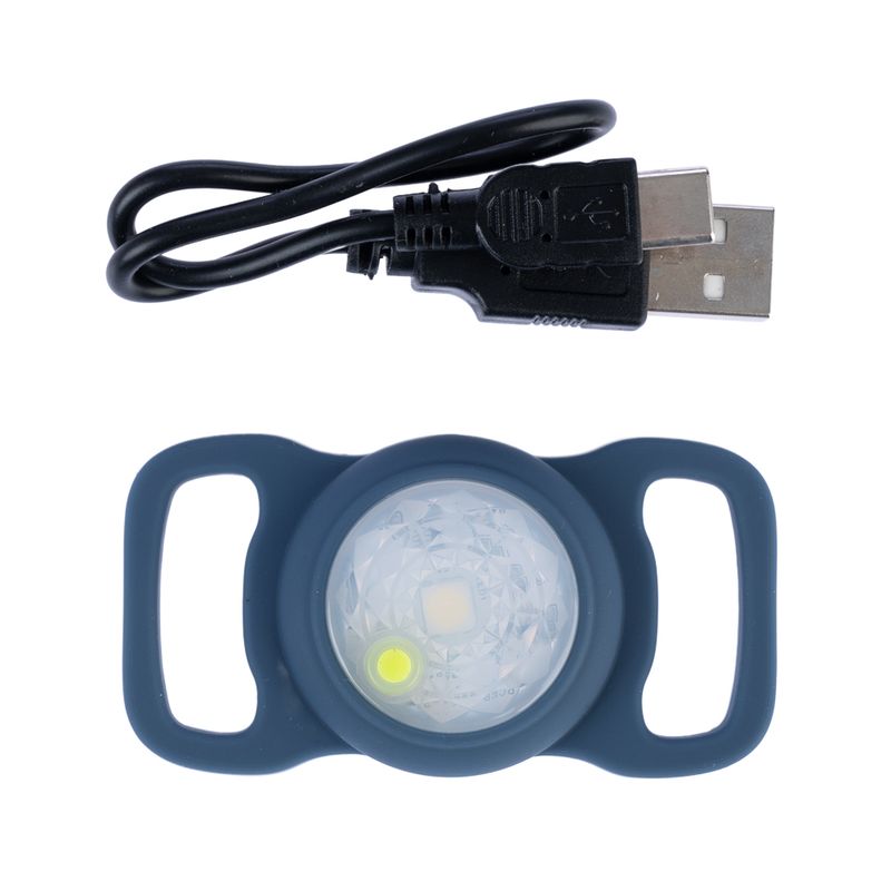 Nomad Tales Bloom Light for Collar & Harness Blue