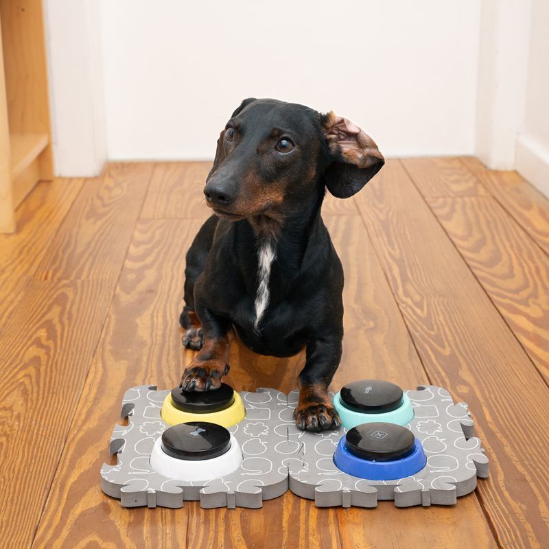 TIAKI Pet Talking Buttons \