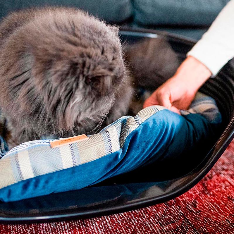 Ferplast cushion Scott, blue L 55 x W x H 36 x 8 cm