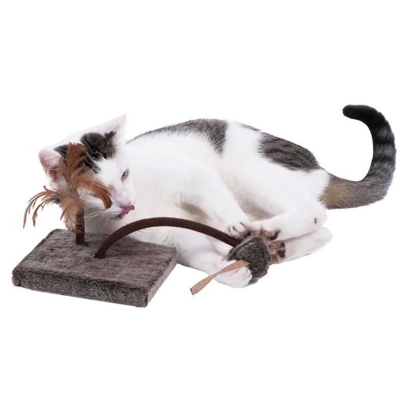 Wild Mouse Cat Toy Set with Sounds & LEDs 2 Piece Set