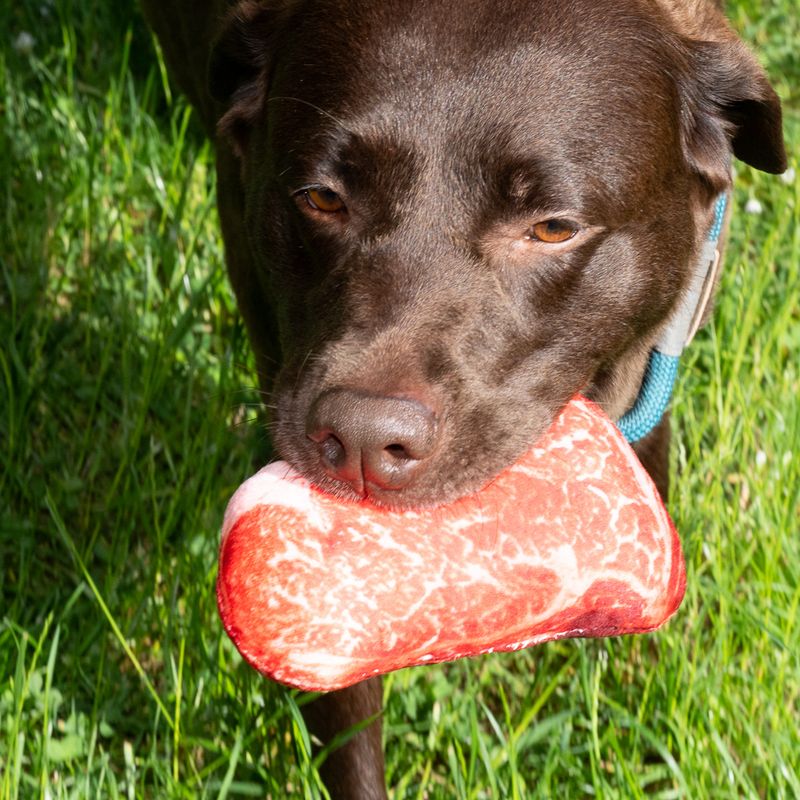 TIAKI Steak Dog Toy 1 Toy