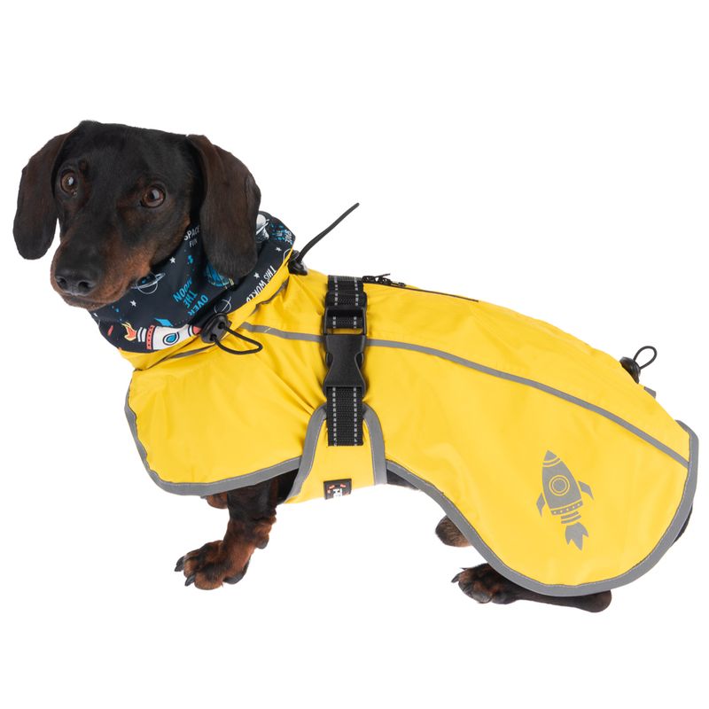 TIAKI Buzz Dog Raincoat approx. 30cm Back Length