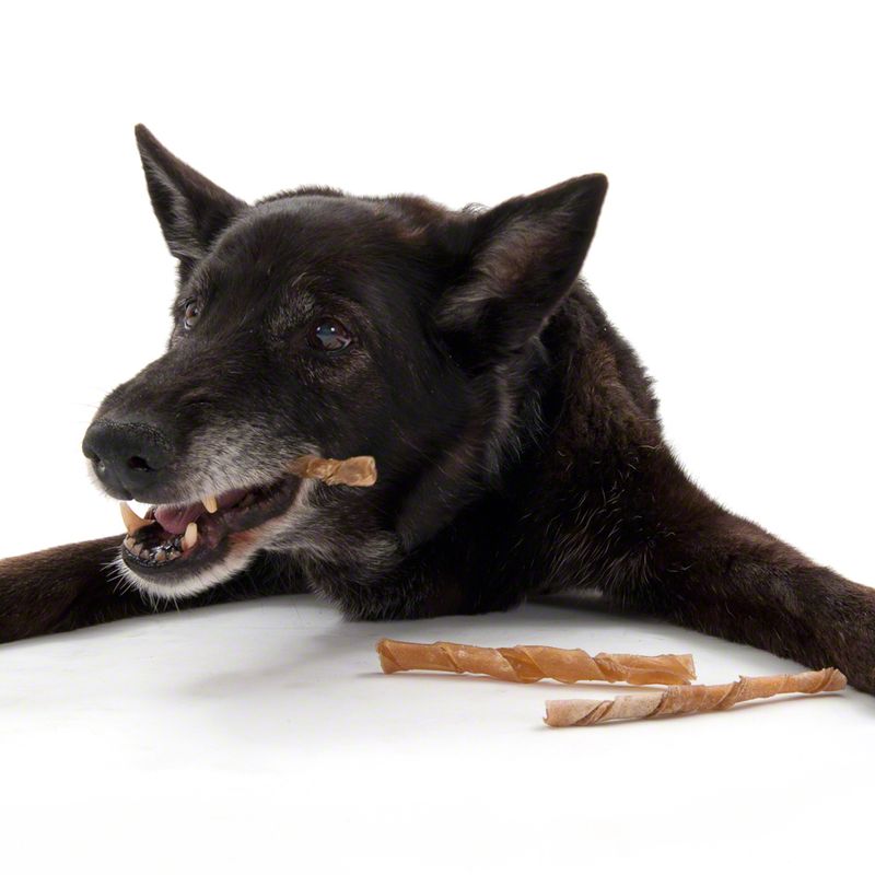 Rolled Trixie Chew Sticks 100 Pieces