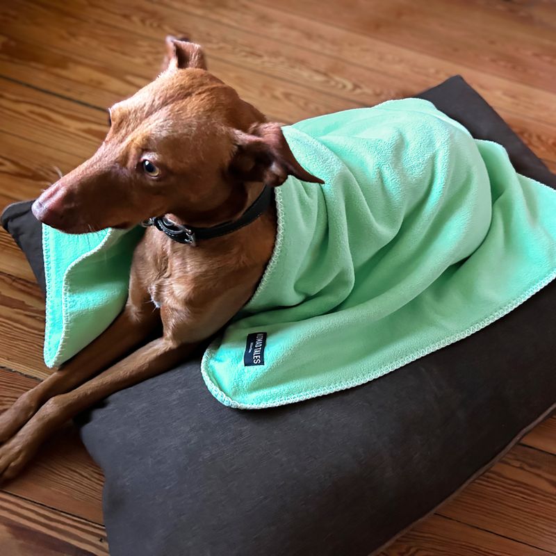 Nomad Tales FIR Tech Rehabilitation Dog Blanket Dark Grey