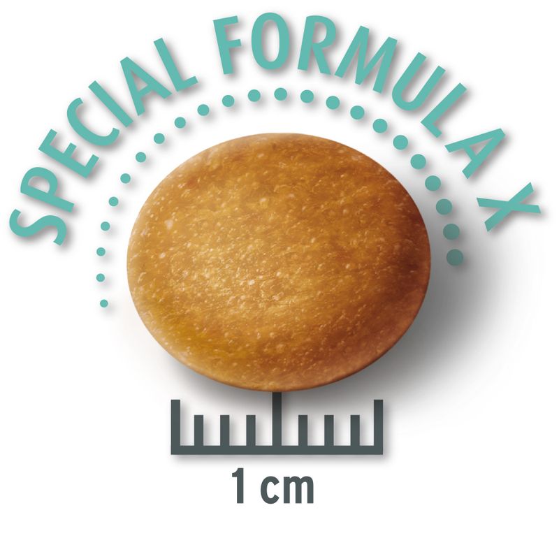 Concept for Life Economy Packs Labrador Sterilised (2 x 12kg)