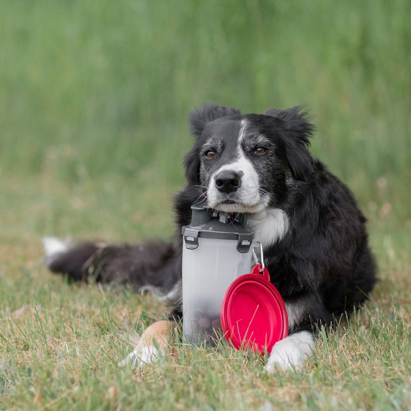 Trixie Food and Water Container 2 x 350ml, 11cm diameter x 23cm (H)