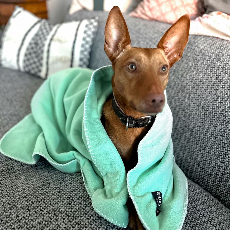 Nomad Tales FIR Tech Rehabilitation Dog Blanket Dark Grey