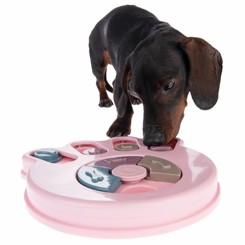 Intelligence Snack Paw Toy 24 x 24 x 3.2cm (L x W x H)