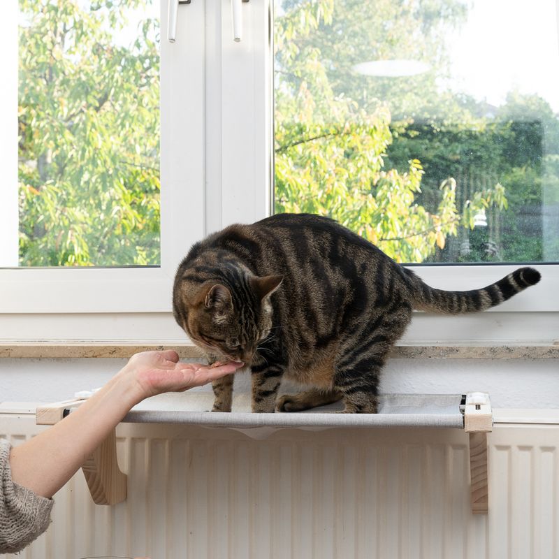 Modern Living Visby Cat Hammock 60 x 38 x 17 cm (L x W x H)