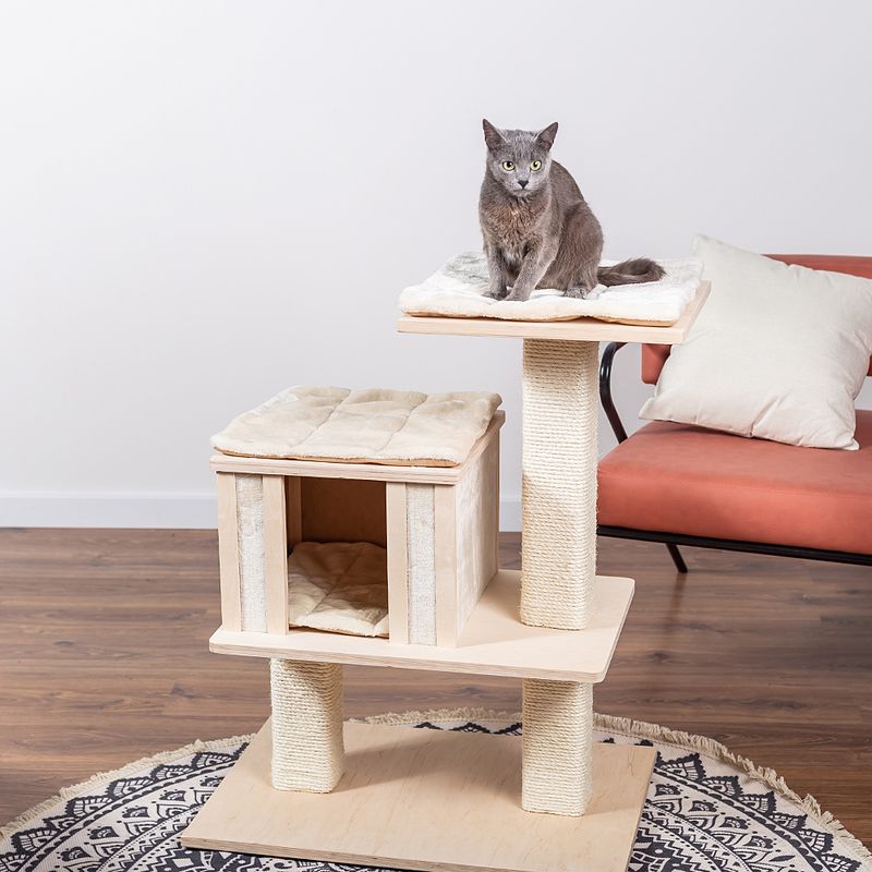 Natural Paradise Cat Tree Orchid Vanda S cream