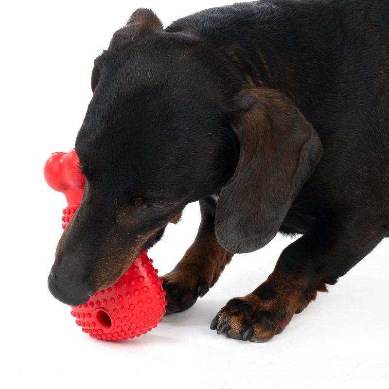 TIAKI Bone Fish Chew Toy 13 x 8 x 4 cm (L x W x H)