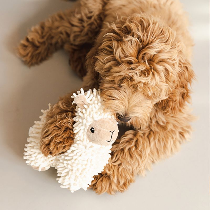 Beeztees ECO Dog Toy Sheep Jovi 26 x 6 x 21cm (L x W x H)