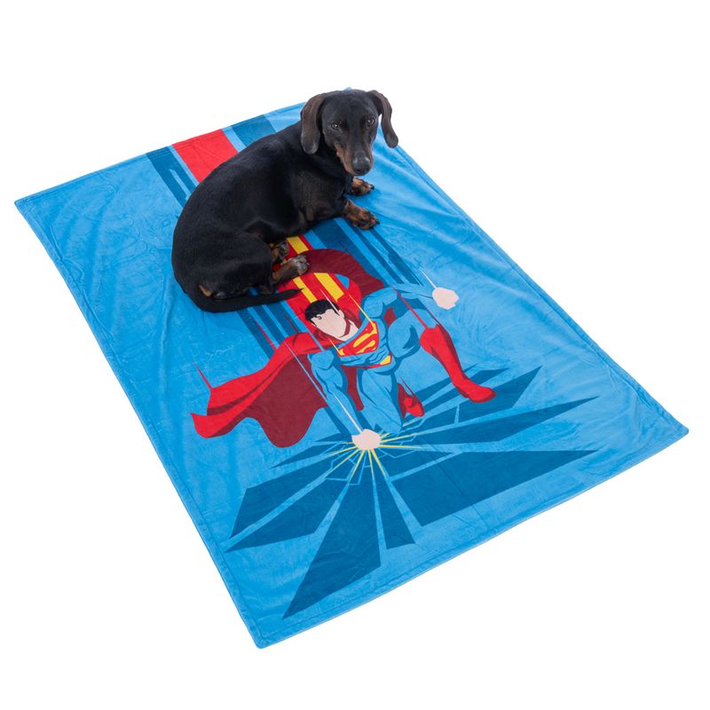 Warner Bros™ DC Superman Pet Blanket 100 x 70 cm (L x W)