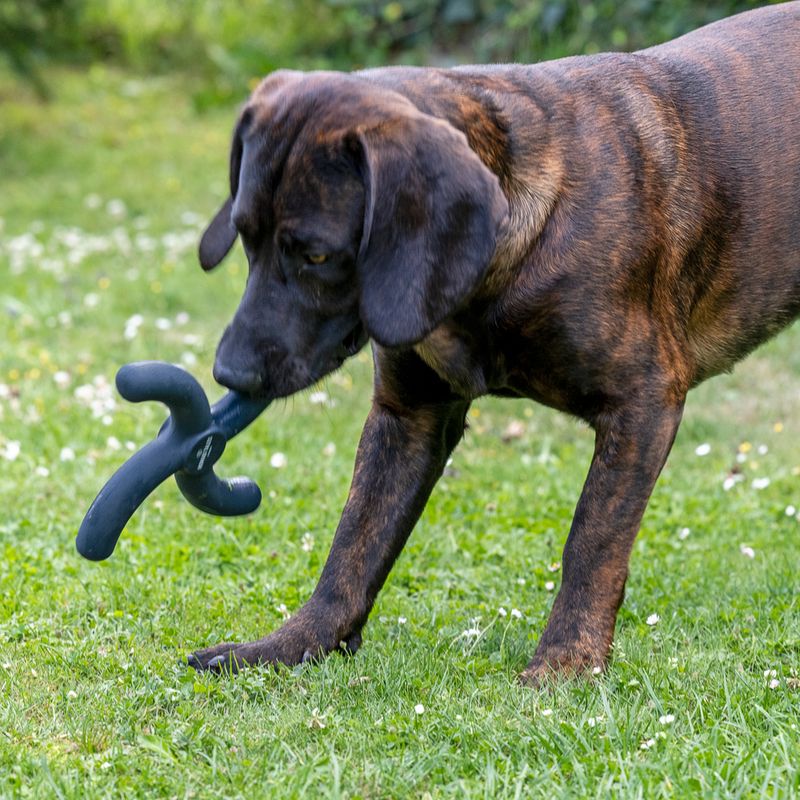 Nomad Tales Bloom Ultra-strong Fetch Toy L x W x H) 24 x 24 x H 3 cm