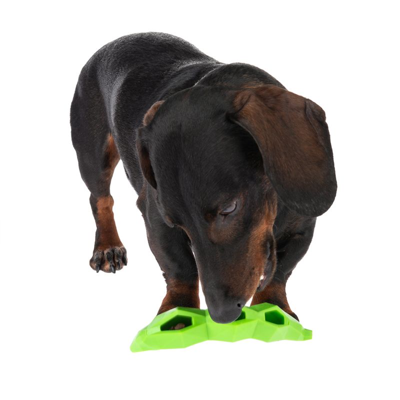 TIAKI Sniffing Toy Pea L 15.3 x W 4.5 x H 3.5 cm