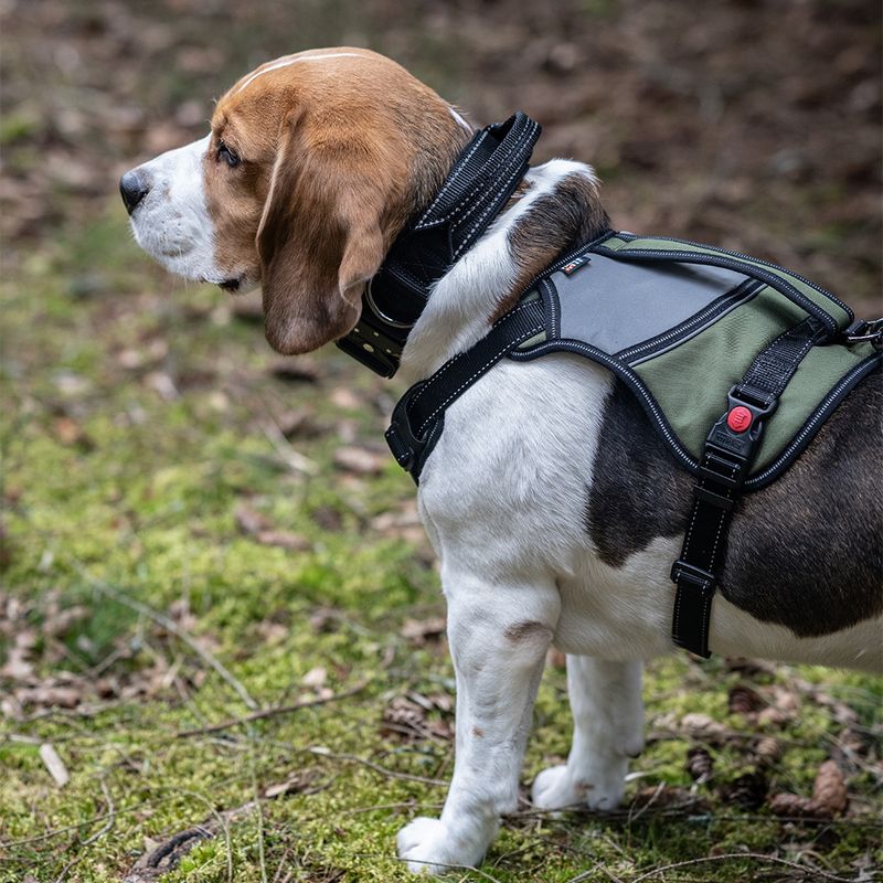 Rukka® Mission Harness – Olive Size L: 70 - 80cm chest circumference, W 25mm