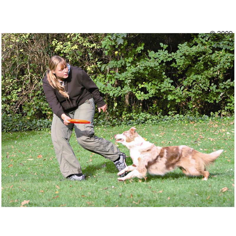 Trixie Dog Activity Disc Diameter 23cm