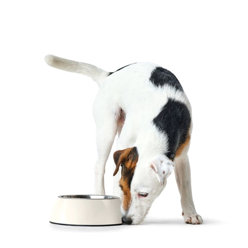 HUNTER melamine bowl white, with stainless steel inlet 160 ml, diameter 11 cm