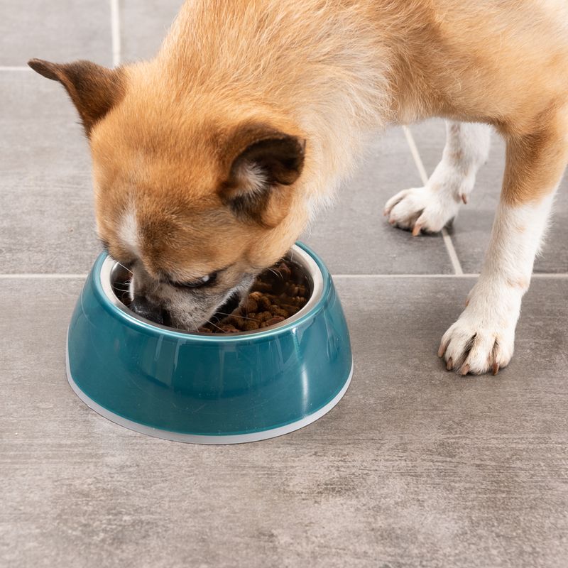 TIAKI Anti-Slip Bowl - Transparent Blue 400 ml, diameter 16 cm