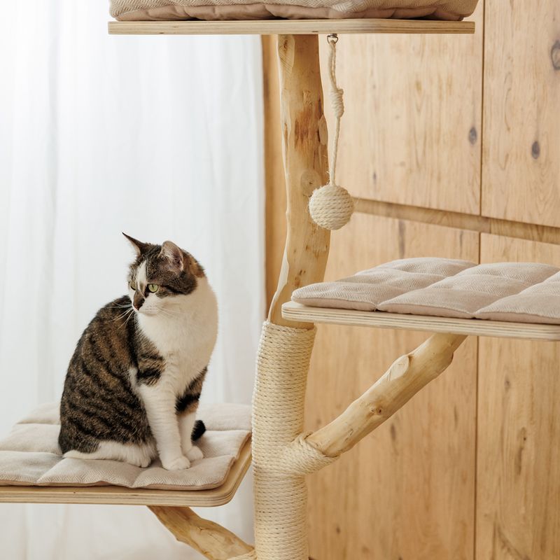 Modern Living Brixen Cat Tree Cream / natural
