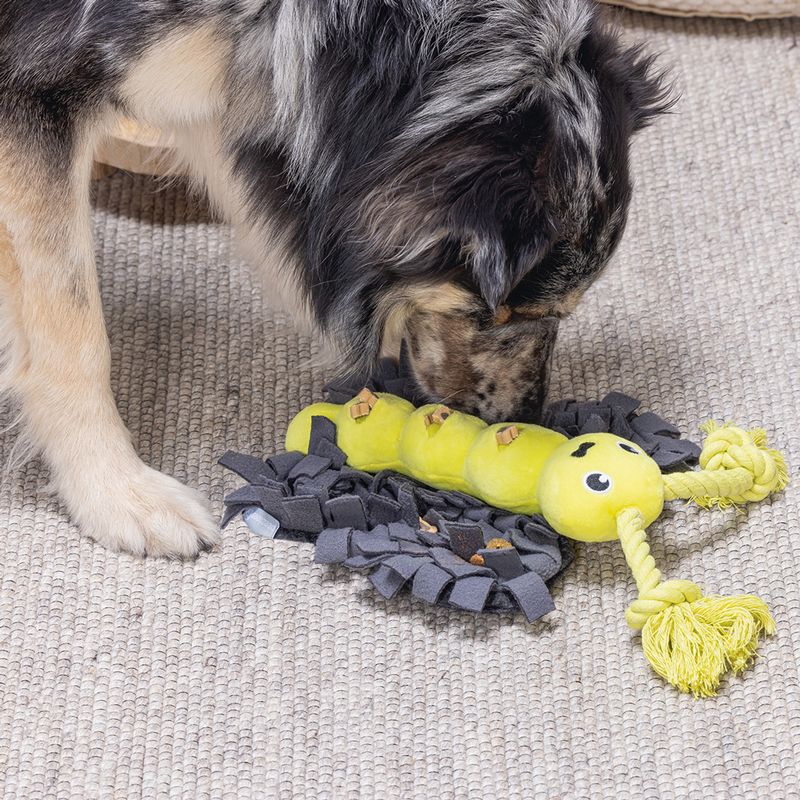 Beeztees Butterfly Dog Toy 1 Toy