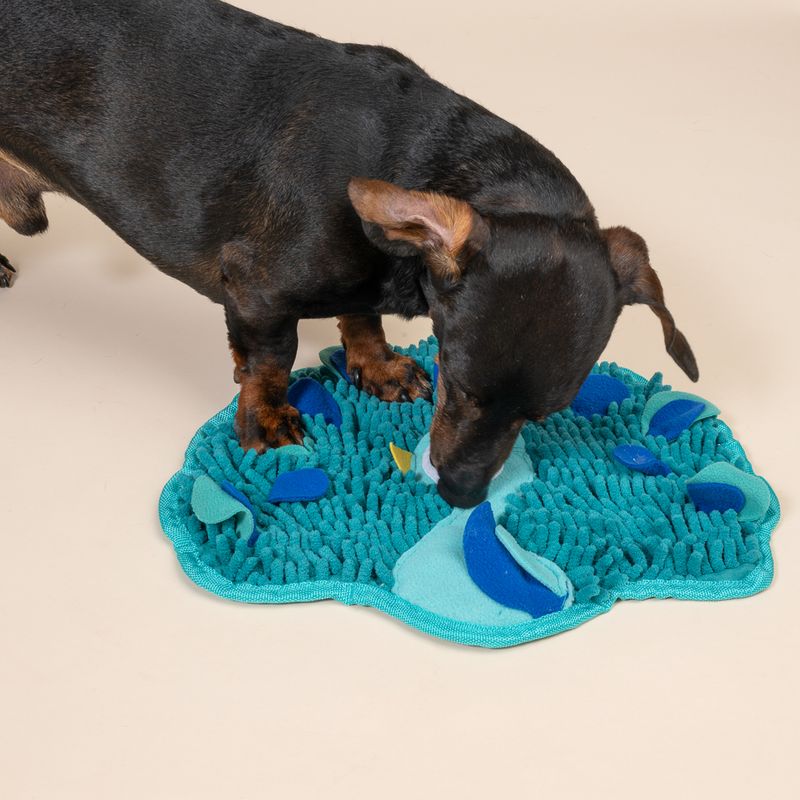 TIAKI Peacock Sniffing Mat 36 x 31 x 1 cm (L x W x H)