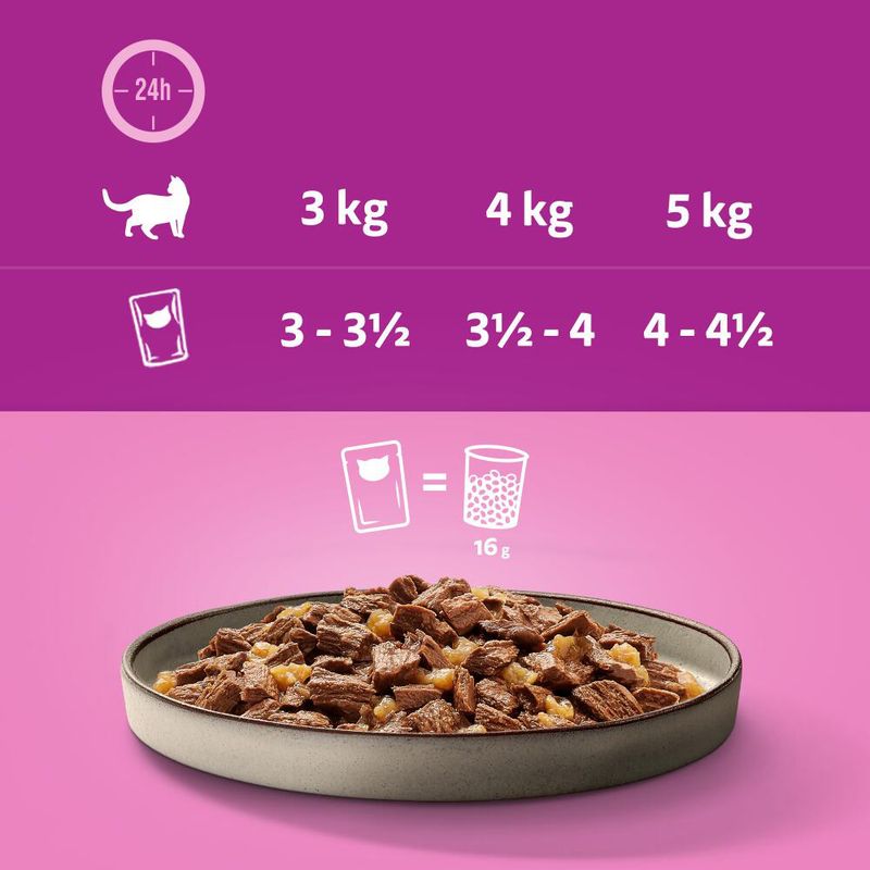 Whiskas Pure Delight Pouches 48 x 85g Mixed Stew in Jelly