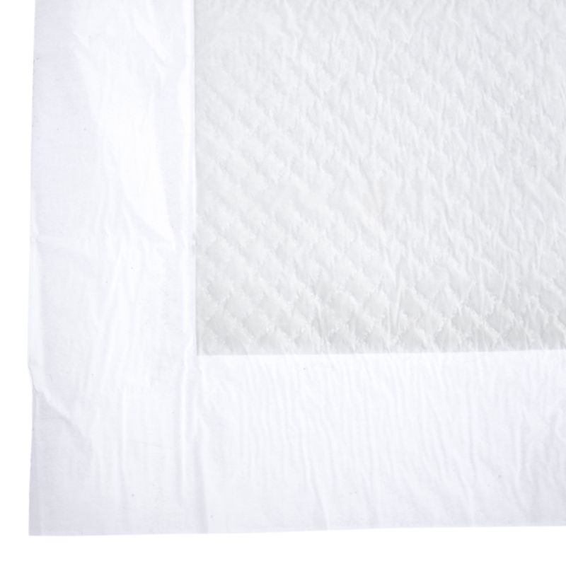 zooplus Basics Training Pads for Puppies 48 x 48 cm (L x W), 50 Pads