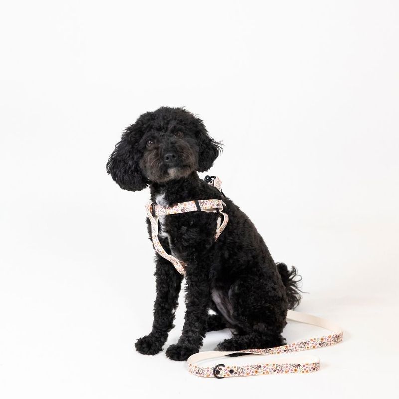 Harry Potter Deathly Hallows Harness - Beige Size S: Chest Circumference 39 - 51 cm