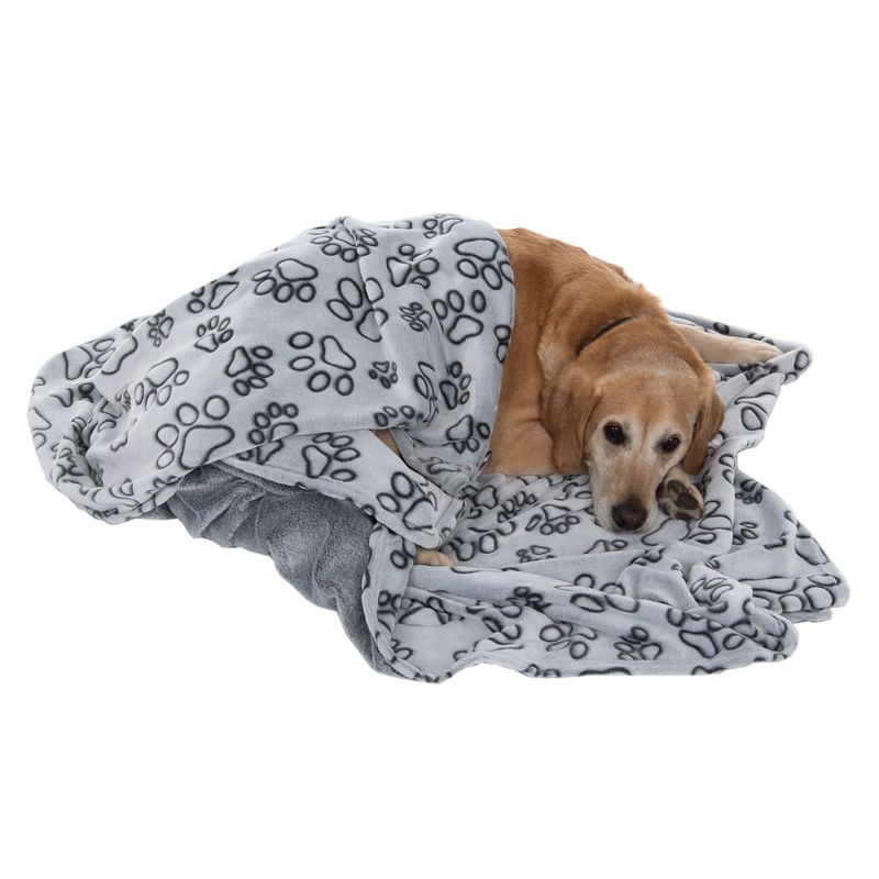 Smartpet microfibre blanket Pawzzz 100 x 75cm (L x W) (Cream/Beige)