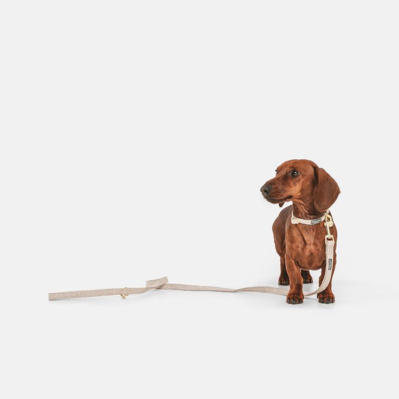 Nomad Tales Calma Collar, sand Size XS: 24 - 36 cm neck circumference, W 10 mm