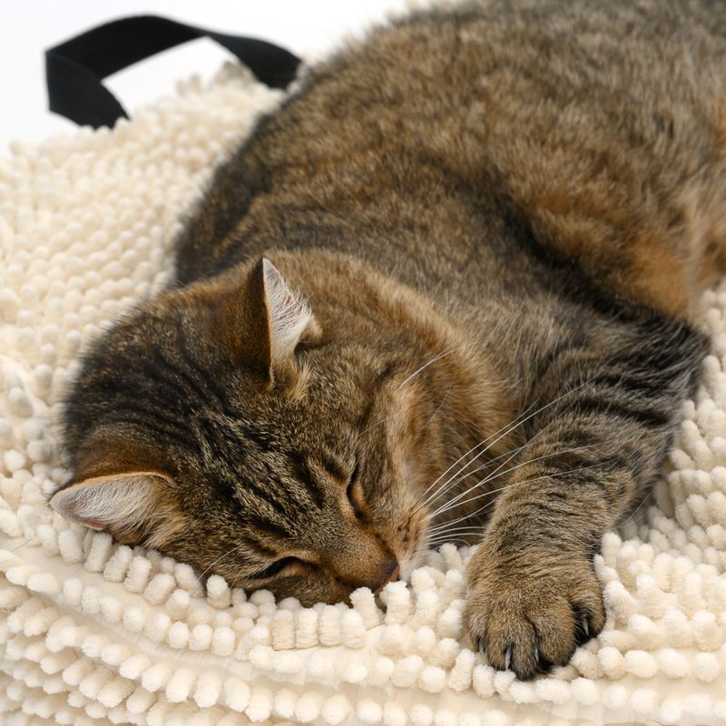 Dog Cushion - Cream 58 x 58cm (L x W)