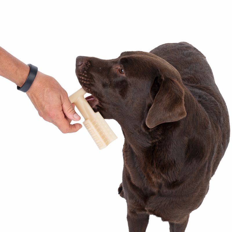 TIAKI T-Shaped Peanut Butter Flavour Chew Toy 14.4 x 12 x 5 cm (L x W x H)