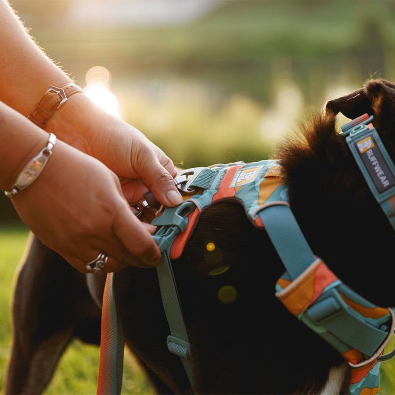 Ruffwear Front Range Dog Harness - Spring Mountains Size S: 56 - 69cm chest circumference