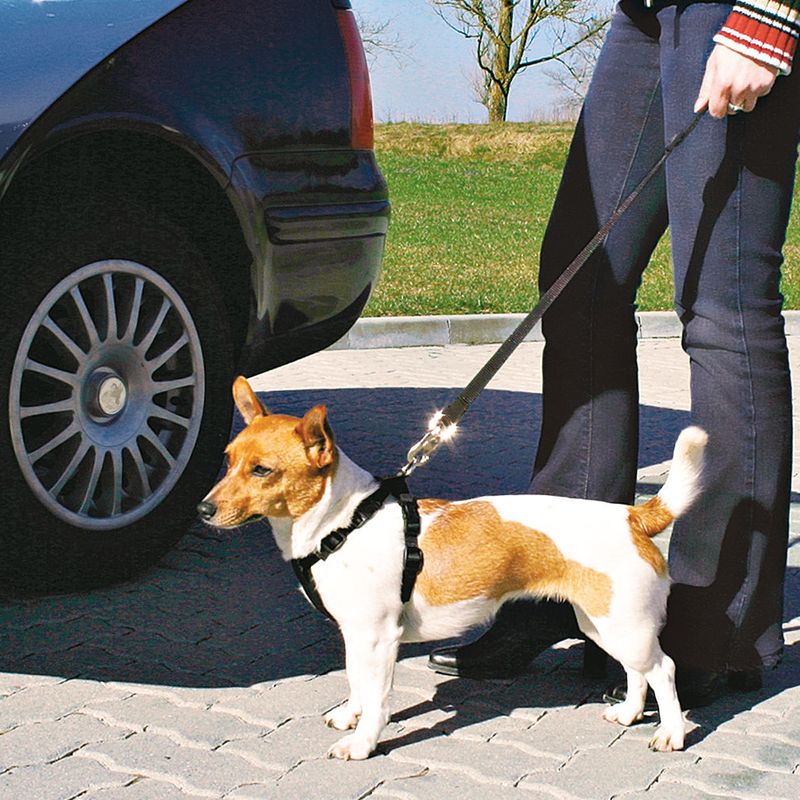 Trixie Dog Car Harness S