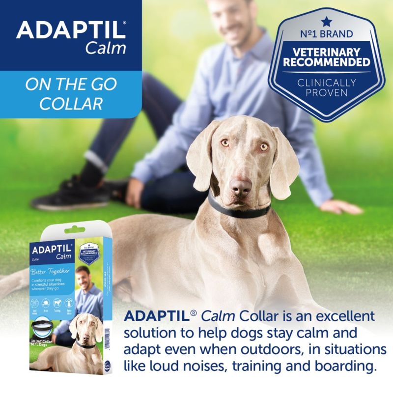 ADAPTIL® Calm Collar for Dogs Puppy / Small dogs