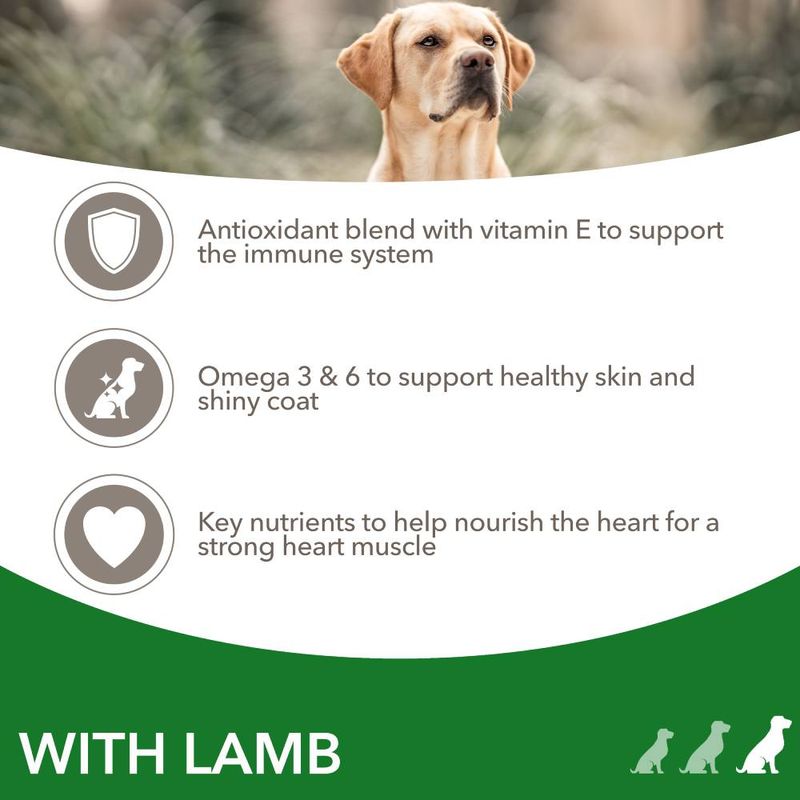 IAMS Advanced Nutrition Adult Large Dog - Lamb 12kg